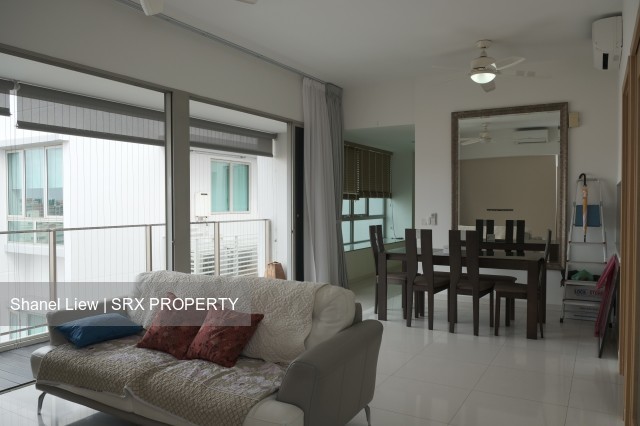 Livia thumbnail photo